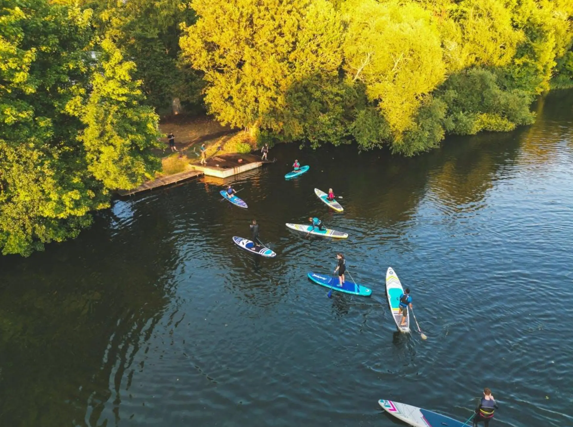 Paddleboarders using the river alongside a tree-lined Thames riverbank