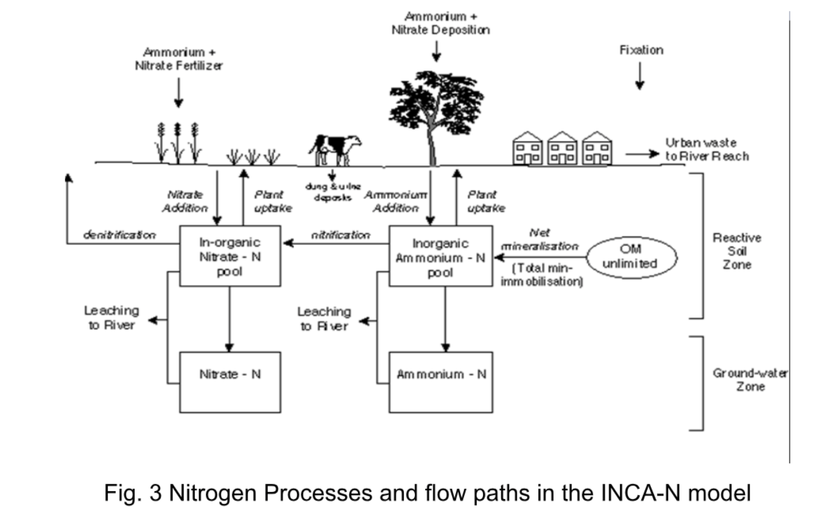 Fig. 3 Nitrogen processes and flow paths (INCA-N)