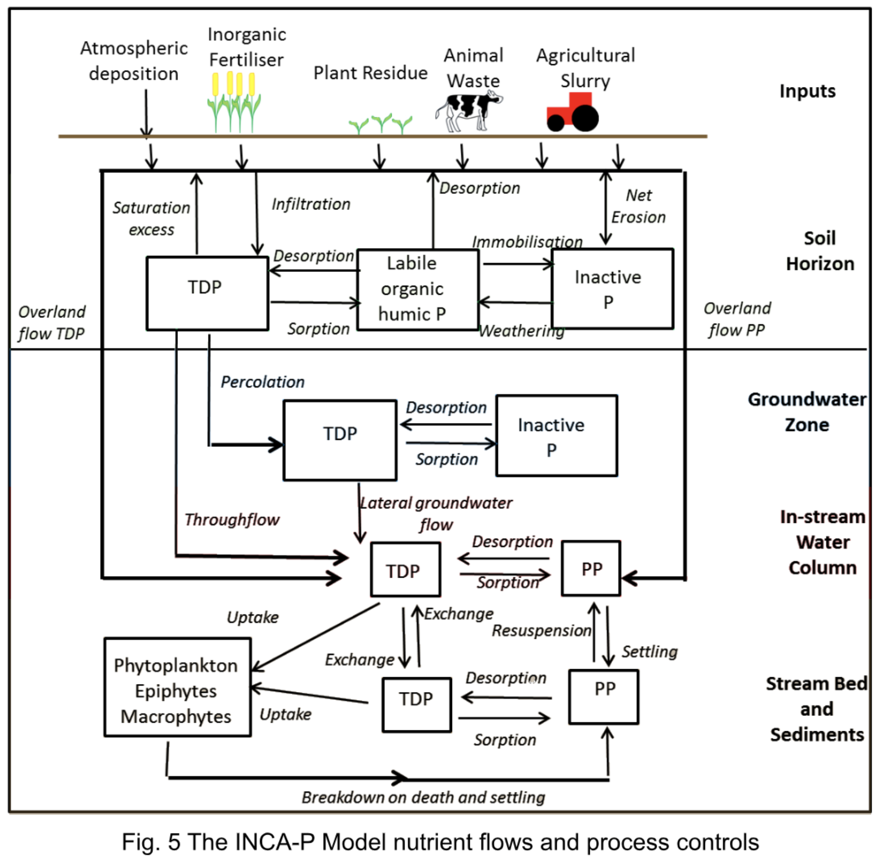 Fig. 5 INCA-P nutrient flows and process controls